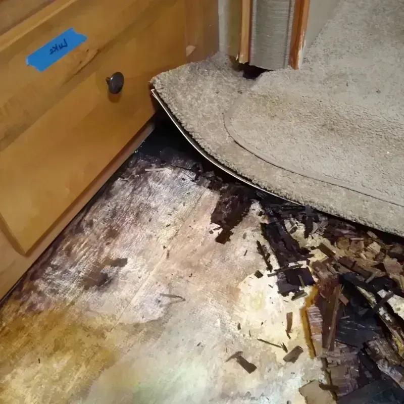 Best Wood Floor Water Damage Service in Millbrook, NY